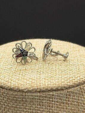 Vintage Order of the Eastern Star Silver Tone Enamel Screw Back Earrings